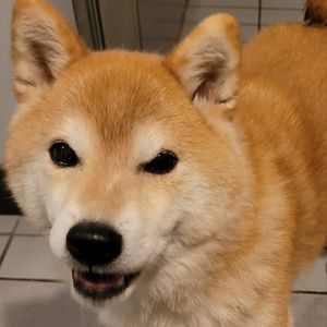 Meet your Posher, Jaclyn